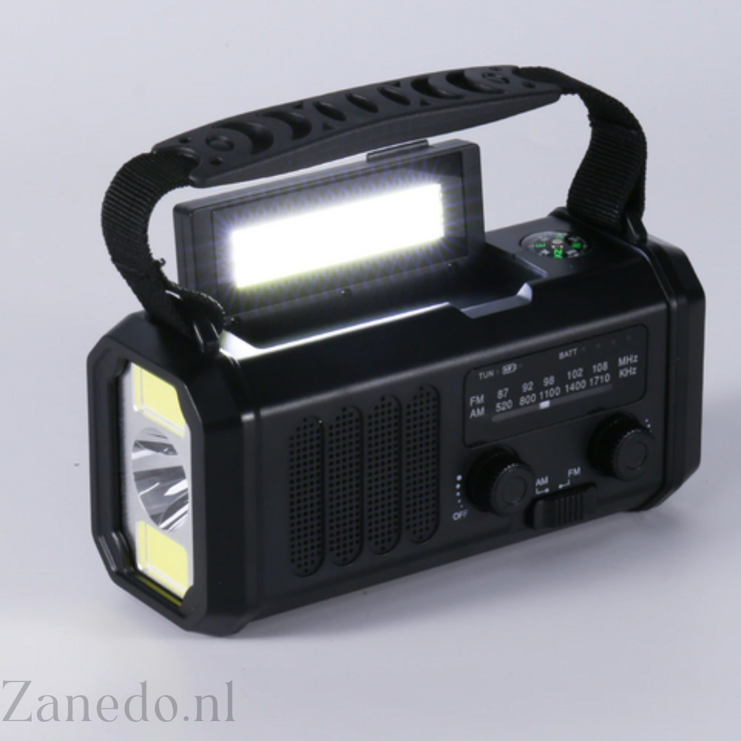 Pulseguard Pro: Energía Segura